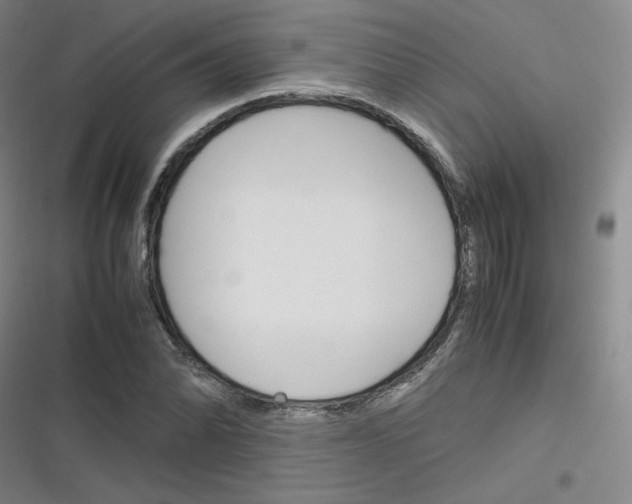 X0000116291070201001111052