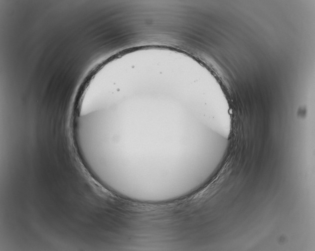 X0000116291072201001111052