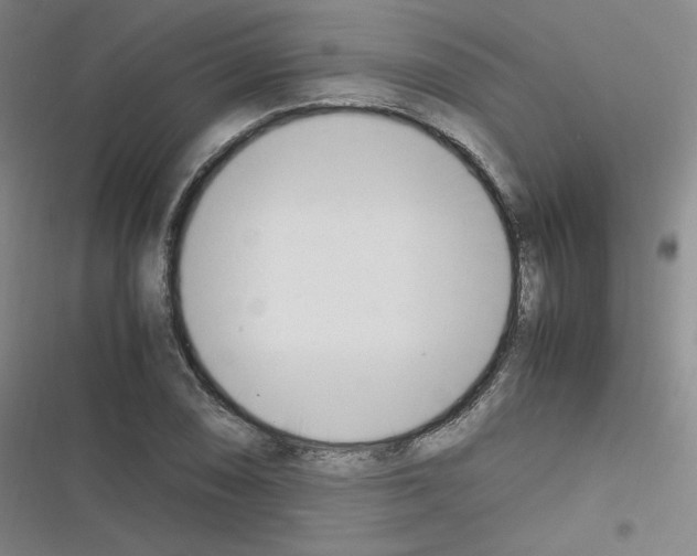 X0000116291074201001111051