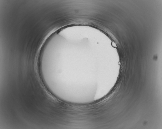 X0000116291075201001111051