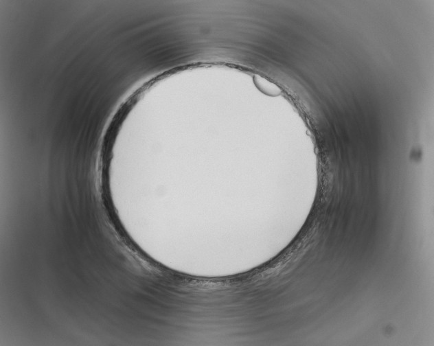 X0000116291076201001111051