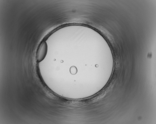 X0000116291077201001111051