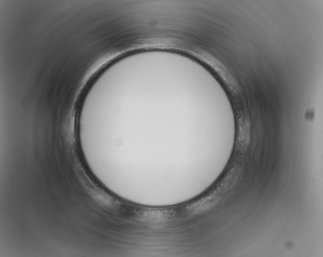 X0000116291078201001111051