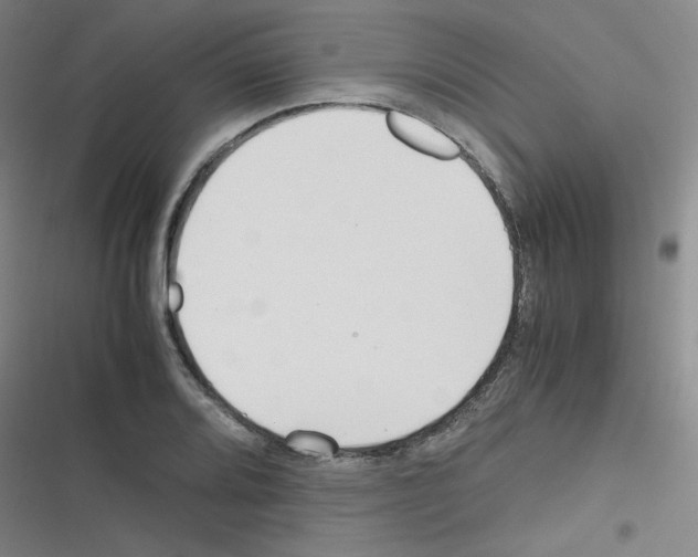 X0000116291080201001111051