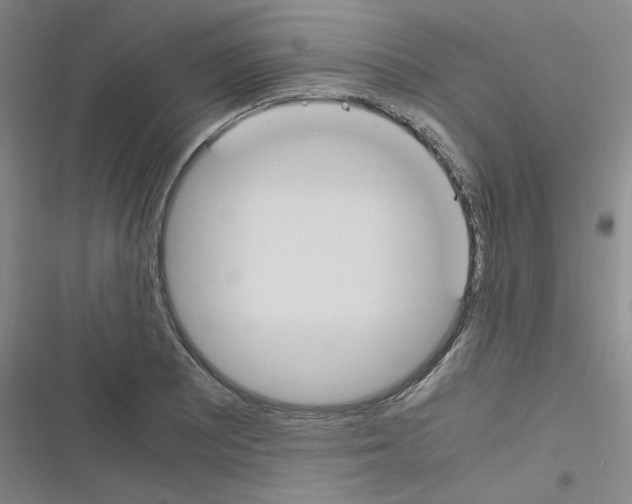 X0000116291081201001111051