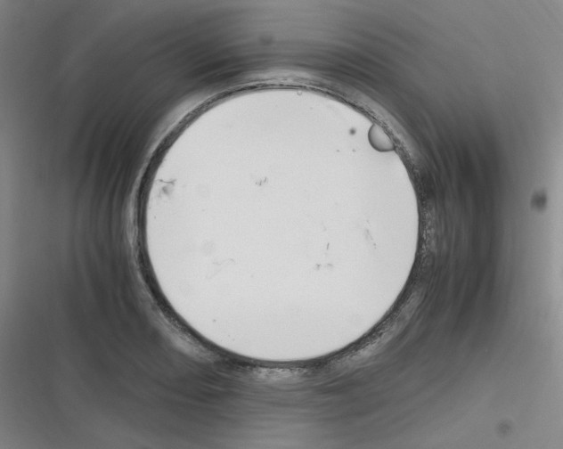 X0000116291082201001111051