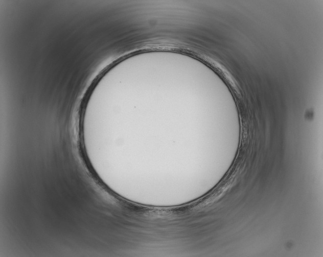 X0000116291083201001111051