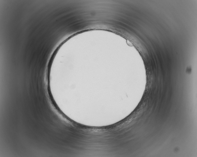 X0000116291084201001111051