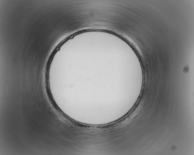 X0000116291085201001111051