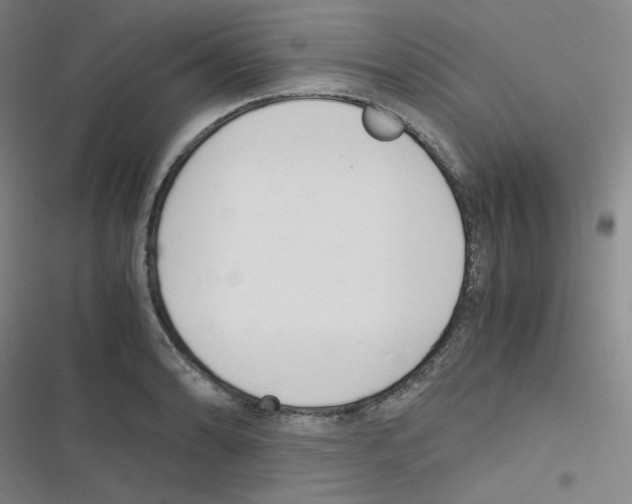 X0000116291086201001111051