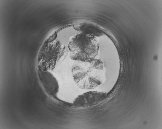 X0000116291087201001111051