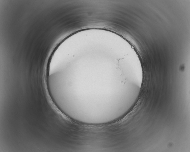 X0000116291088201001111051