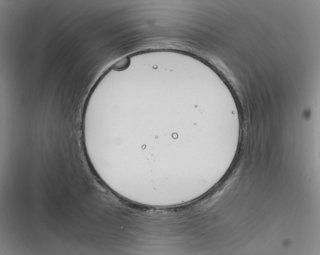 X0000116291089201001111051