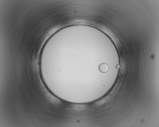 X0000116291090201001111051