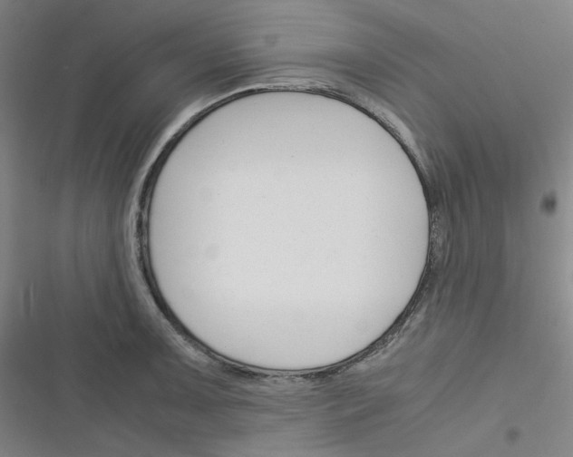 X0000116291091201001111051