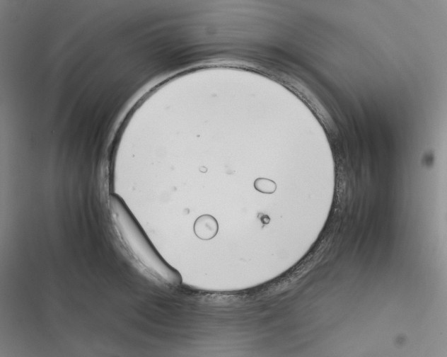 X0000116291092201001111051