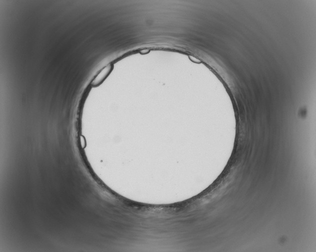 X0000116291093201001111051