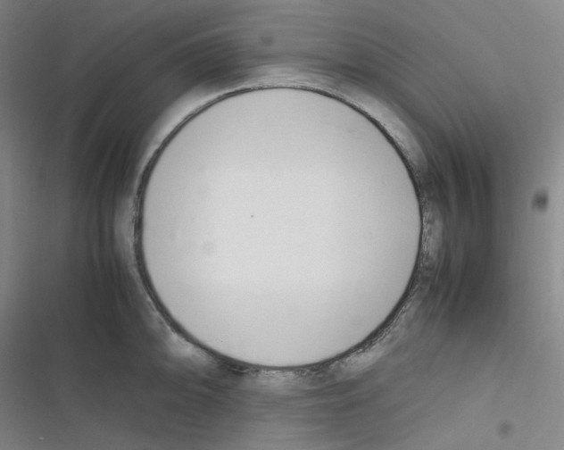 X0000116291094201001111051