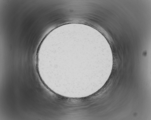 X0000116291095201001111051