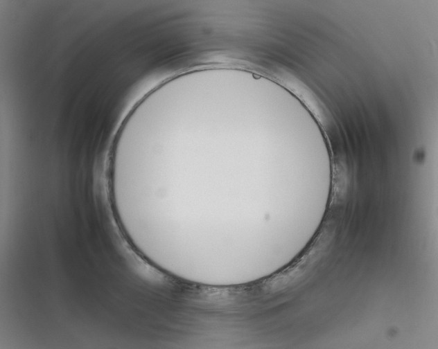 X0000116291098201001111051