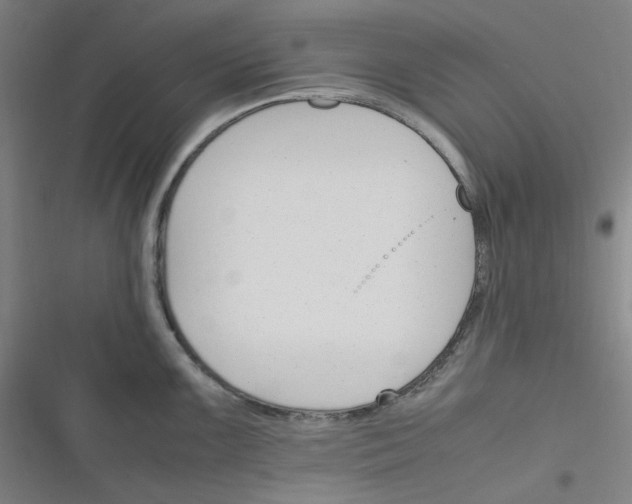 X0000116291099201001111051