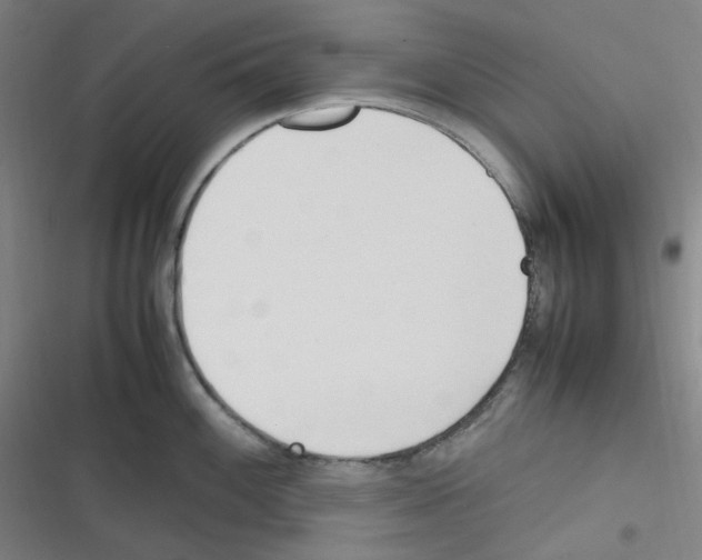 X0000116291100201001111051