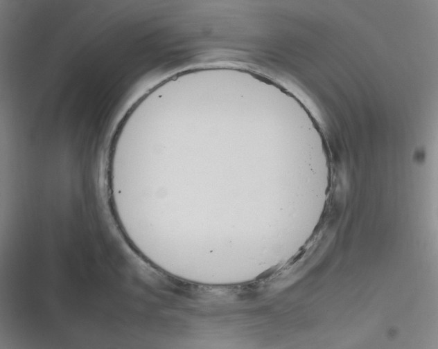 X0000116291101201001111051