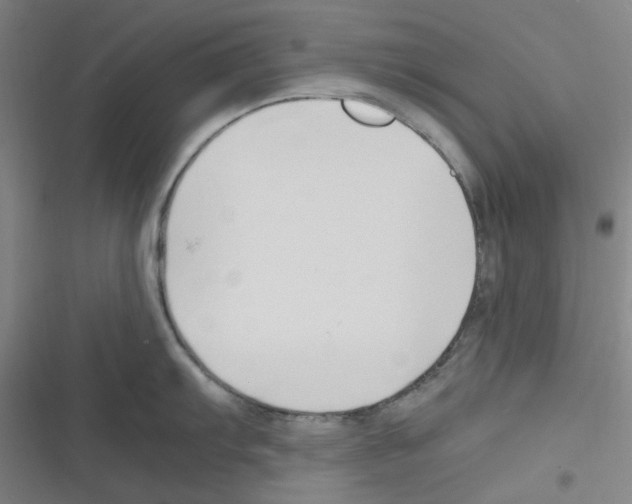 X0000116291103201001111051