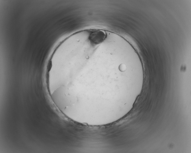 X0000116291104201001111051