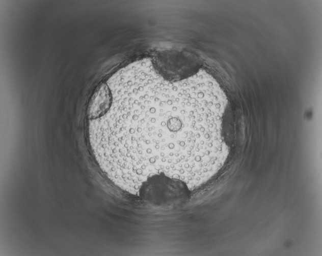 X0000116291105201001111050