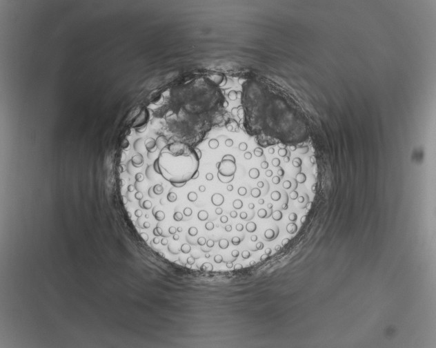 X0000116291106201001111050