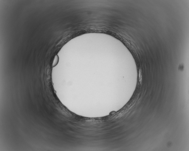 X0000116291107201001111050