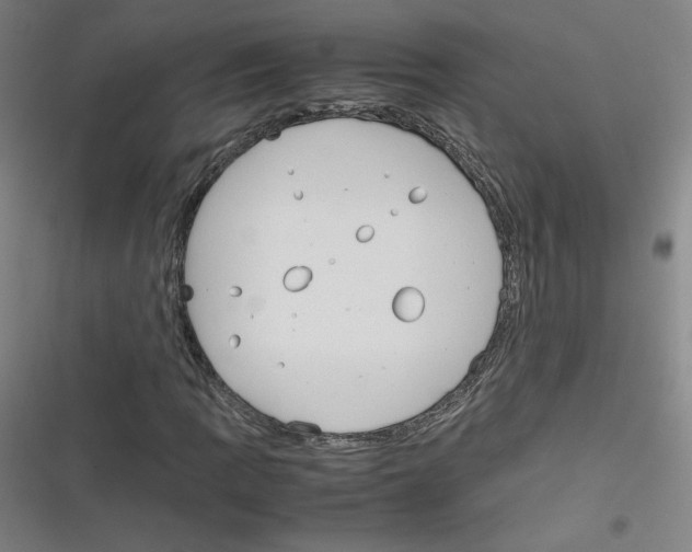 X0000116291109201001111050