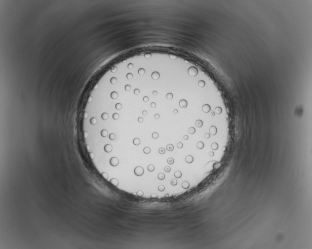 X0000116291113201001111051