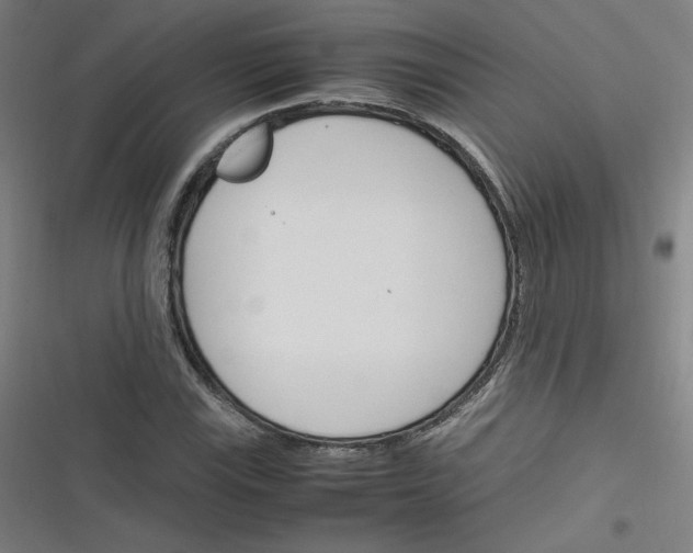 X0000116291115201001111051