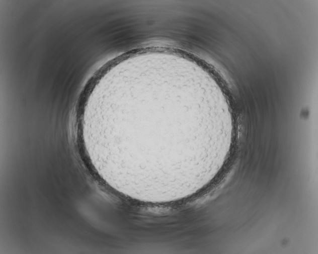 X0000116291117201001111051