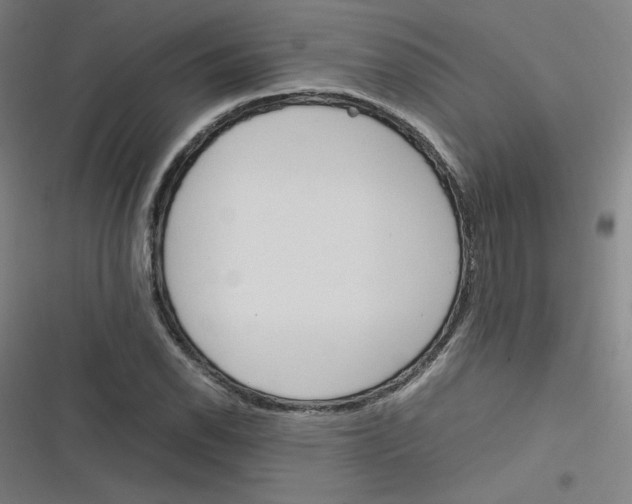 X0000116291118201001111051