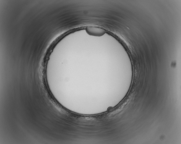 X0000116291119201001111051