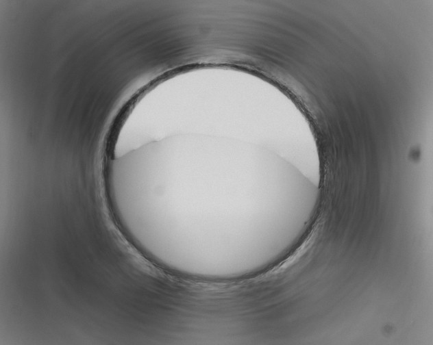 X0000116291122201001111051