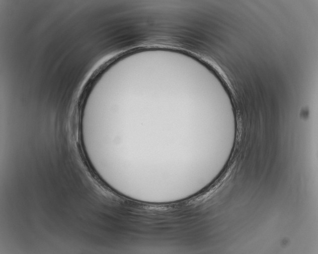 X0000116291123201001111051