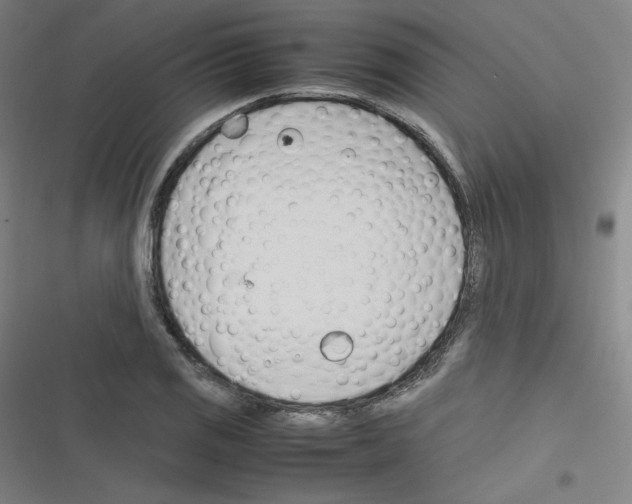 X0000116291125201001111051