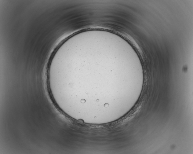 X0000116291133201001111051