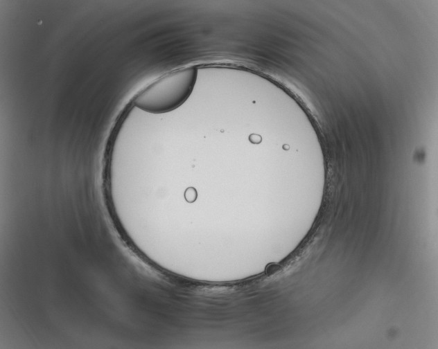 X0000116291135201001111051