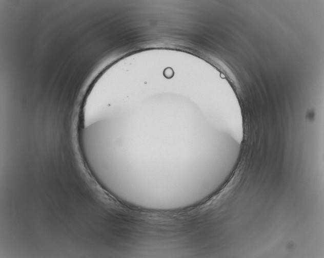 X0000116291138201001111051