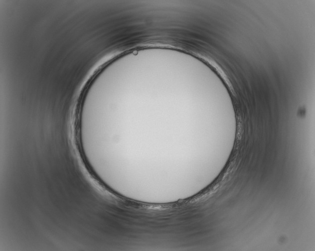 X0000116291139201001111051