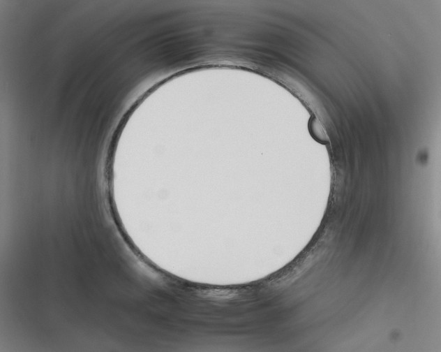 X0000116291141201001111051