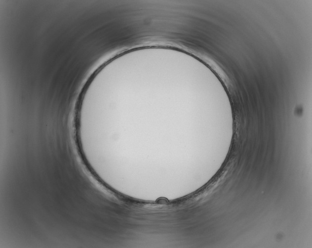 X0000116291142201001111051