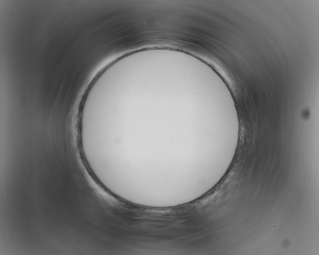 X0000116291143201001111051