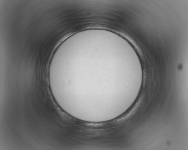 X0000116291145201001111051