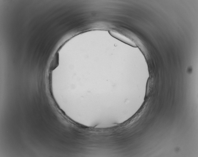 X0000116291146201001111051